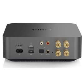 Wiim AMP PRO Network Stereo Amplifikatör 